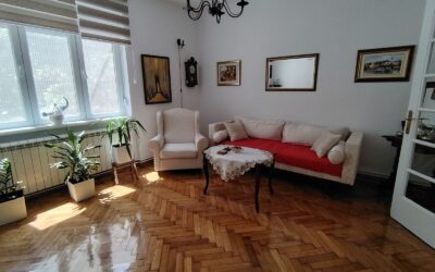 Ruzveltova, Cvijićeva