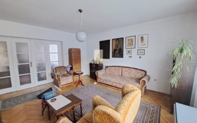 Palata pravde, Dr Aleksandra Kostića