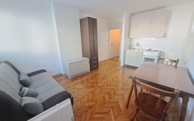 Višnjička banja, Metalska